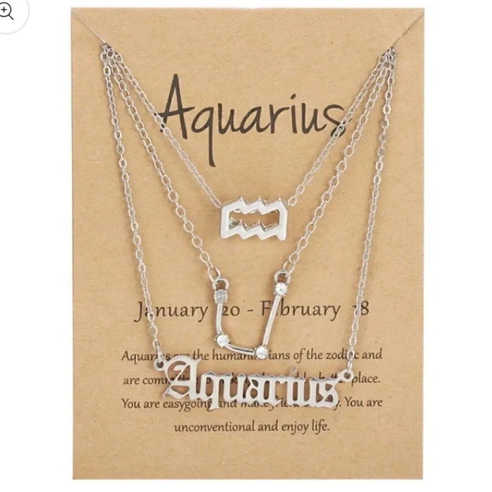 Zodiac 3pc Silver color necklace 2 poly mailers and 1 bag Aquarius ♒️